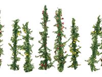 Faller H0 - 181291 - Stangenbohnen - Artikelbild