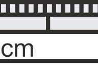 Kibri H0 - 39706 - H0 Stahlträgerbrücke gebogen, eingleisig - Artikelbild