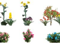 Faller H0 - 181289 - Blumen im Vorgarten - Artikelbild