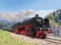 Trix H0 - 25019 - Dampflokomotive Baureihe 19.0 Sachsenstolz - Artikelbild