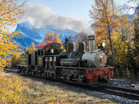 LGB G - 26701 - RC & BT RR Dampflok Shay Nr. 7 - Artikelbild