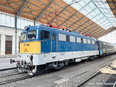 Piko H0 - 51449 - E-Lok 431.194 MAV VI - Artikelbild