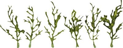 Faller - 171839 - PREMIUM Rankgewächse, grün - Artikelbild