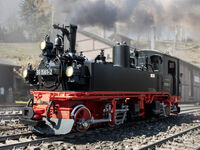 LGB - 26847 - DR Dampflokomotive 99 1561-2 - Artikelbild