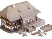 Faller N - 232258 - Schwarzwaldhof - Artikelbild