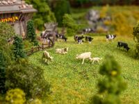 Faller N - 272800 - Figuren-Set mit Mini-Sound-Effekt Kühe