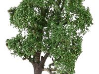 Faller H0 - 181704 - Akazie - Artikelbild