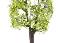 Faller H0 - 181803 - 2 Pflaumenbäume - Artikelbild